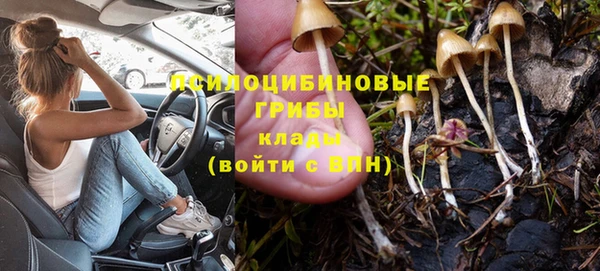 гидропоника Корсаков